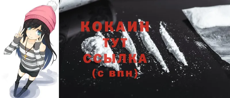 купить наркоту  Большой Камень  Cocaine Fish Scale 